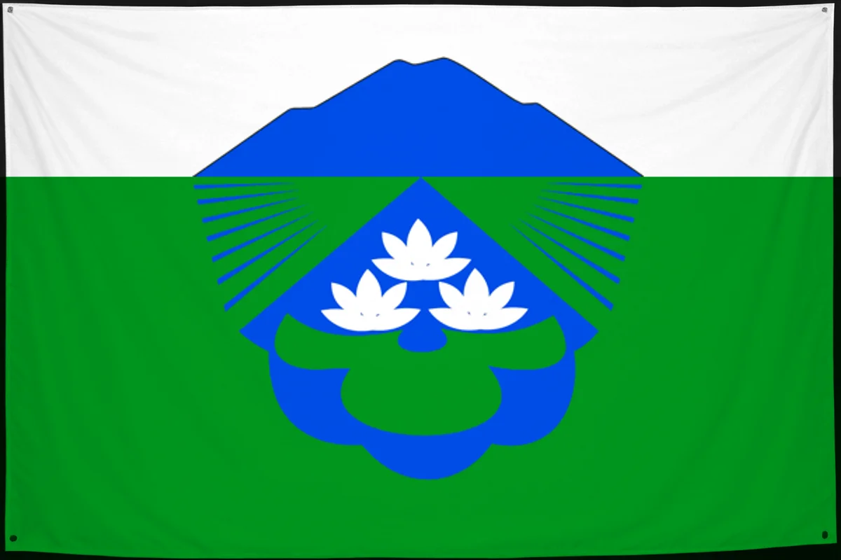 Флаг: Вяземский район